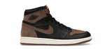 Palomino Jordan 1