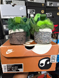 CPFM Air Flea 1 Overgrown