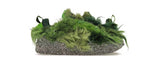CPFM Air Flea 1 Overgrown